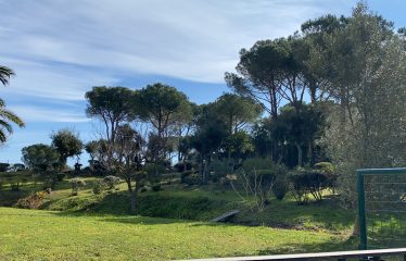 Terreno c/ Olot, 31 Calonge