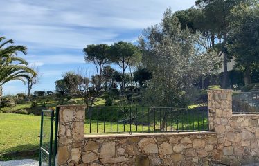 Terreno c/ Olot, 31 Calonge