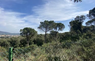 Terreno c/ Olot, 31 Calonge